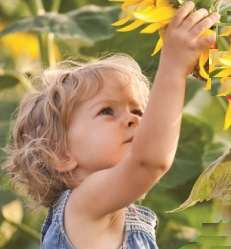 Senza pesticidi si può